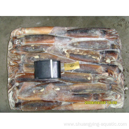 Seafood Frozen Illex Loligo Squid 100-200g 10Glazing